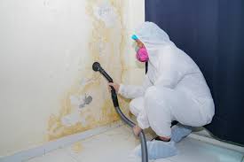 Forensic Mold Investigation in Payson, UT